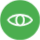 Vision Icon